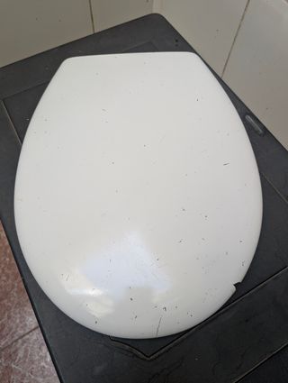 Tapa inodoro Roca Victoria