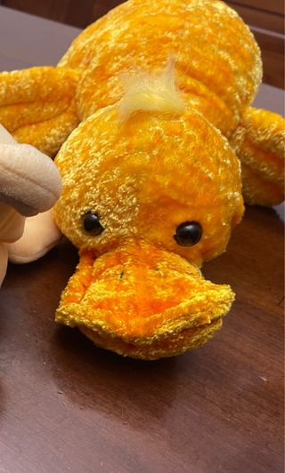 Una papera gialla morbidissima