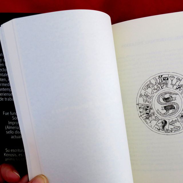 Las noches campesinas que perdiste