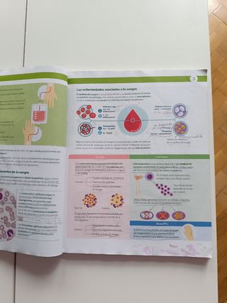 BIOLOGIA Y GEOLOGIA MADRID 3 ESO CONSTRUYENDO M...