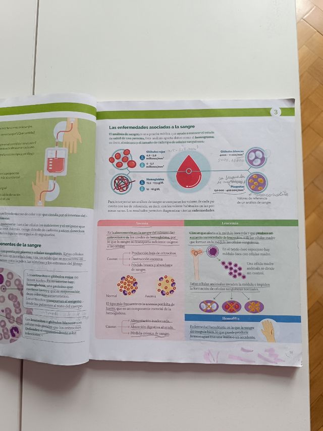 BIOLOGIA Y GEOLOGIA MADRID 3 ESO CONSTRUYENDO M...