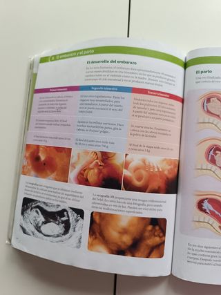 BIOLOGIA Y GEOLOGIA MADRID 3 ESO CONSTRUYENDO M...