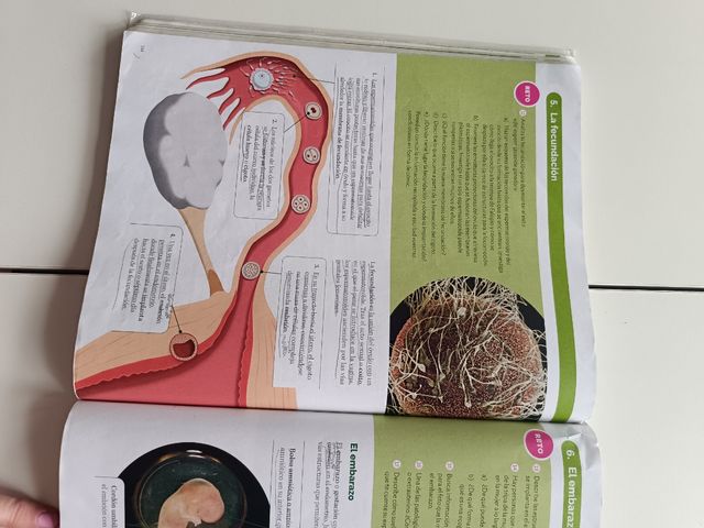 BIOLOGIA Y GEOLOGIA MADRID 3 ESO CONSTRUYENDO M...