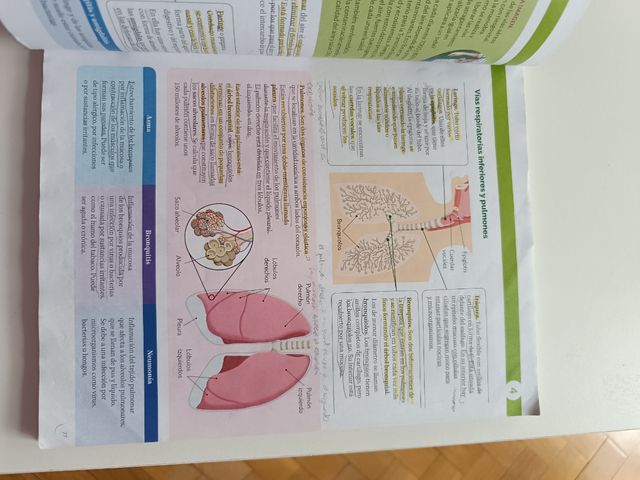BIOLOGIA Y GEOLOGIA MADRID 3 ESO CONSTRUYENDO M...