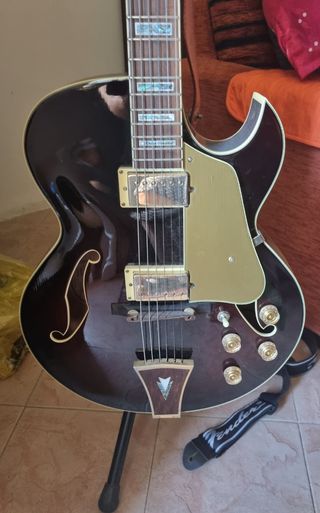 Ibanez AK95 Chitarra elettroacustica