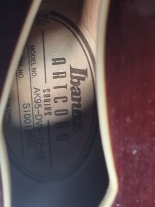 Ibanez AK95 Chitarra elettroacustica