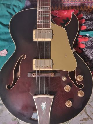 Ibanez AK95 Chitarra elettroacustica
