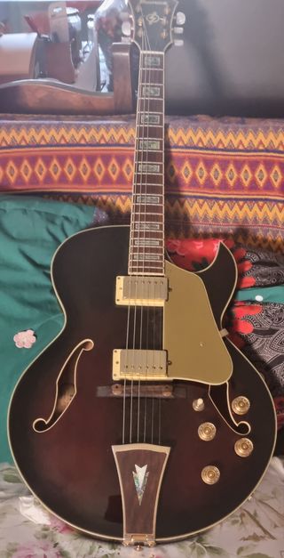 Ibanez AK95 Chitarra elettroacustica