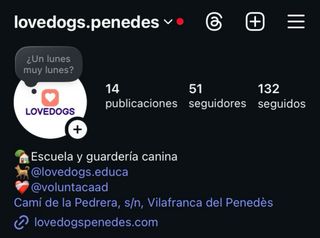 Cuidador de perros