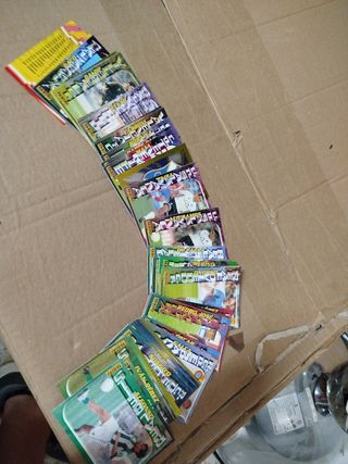 Cromos fútbol 99 Panini