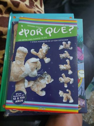 Psicología positiva para Dummies