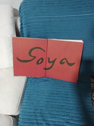 De la Luz y de las Sombras «G.O.Y.A.»: Gnóstico...