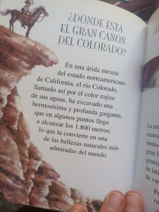 250 preguntas y respuestas (Primera Biblioteca)...