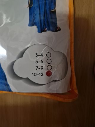 Disfraz Princesa Vikinga Niña