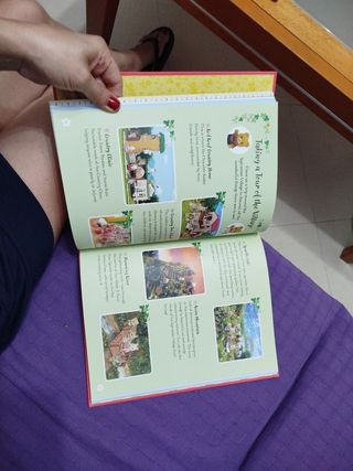 The World of Sylvanian Families HB