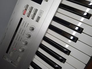 Korg Triton Lee- Workstation con tarjeta Sampler.