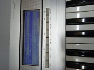 Korg Triton Lee- Workstation con tarjeta Sampler.