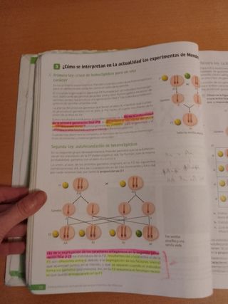 Biología y Geología. 4 Secundaria. Revuela