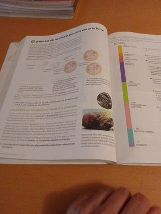 Biología y Geología. 4 Secundaria. Revuela