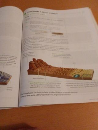 Biología y Geología. 4 Secundaria. Revuela
