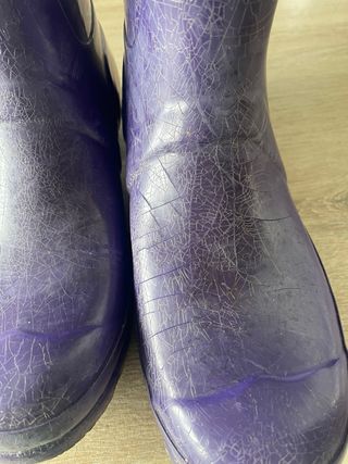 Botas Hunter Púrpura Talla 39