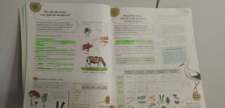 Coneixement del medi. Ciències de la naturalesa 5.