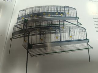 Batería gallinas 16 compartimentos