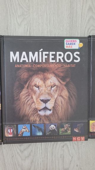 Tecnología. Cuerpo humano. Mamíferos.