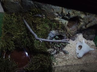 Terrario para reptiles EN SUPER OFERTA!! Ocasión