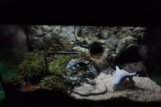 Terrario para reptiles EN SUPER OFERTA!! Ocasión