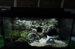 Terrario para reptiles EN SUPER OFERTA!! Ocasión