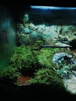 Terrario para reptiles EN SUPER OFERTA!! Ocasión