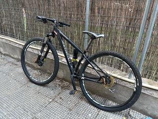 Specialized Rockhopper 29”