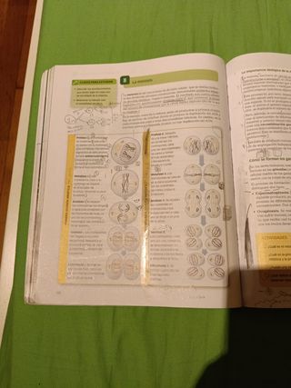 Biología y geología 4º Eso