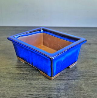 Vasos Bonsai - Azul - 13cm