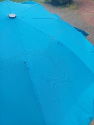 Sombrilla carrito Inglesina azul