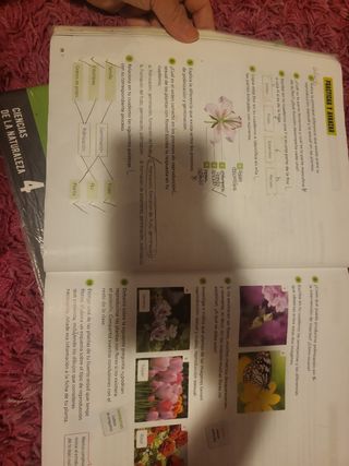 Proyecto: FanFest. Ciencias de la Naturaleza 4