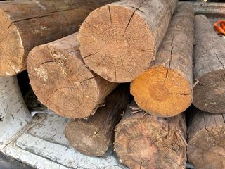 Palos rústicos madera