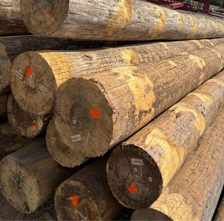 Palos rústicos madera