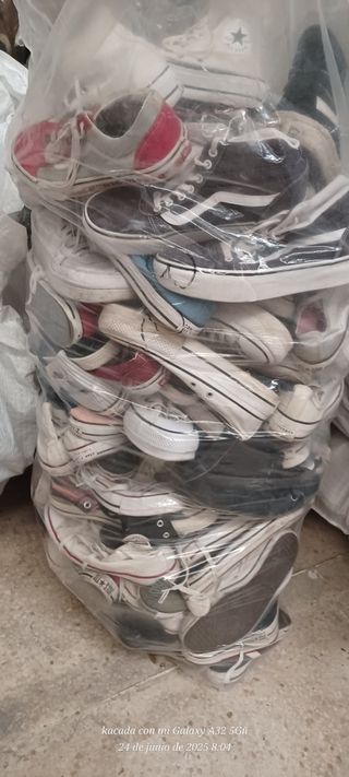 Lote de zapatillas Converse & Vans