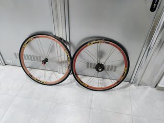 Ruedas carretera Rolf Vector