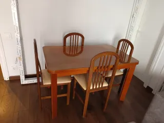 Mesa plegable + 4 sillas