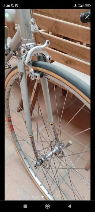 Bicicleta Zeus 2000 Campagnolo