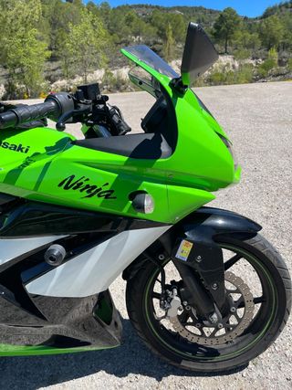 Kawasaki Ninja 250R - Verde