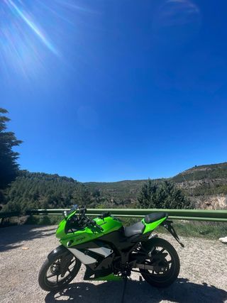 Kawasaki Ninja 250R - Verde