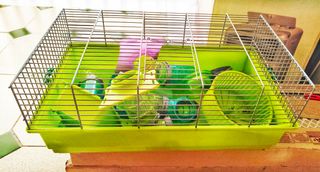 Jaula hamster verde + accesorios