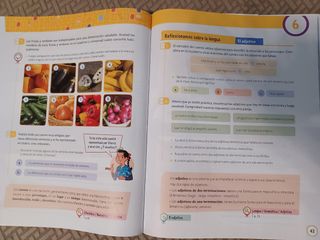 LENGUA 5
