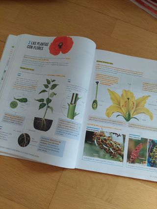 BIOLOGIA Y GEOLOGIA 1 ESO  Proyecto: Para que las