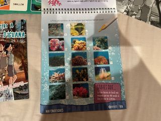 cuaderno verano primero de primaria