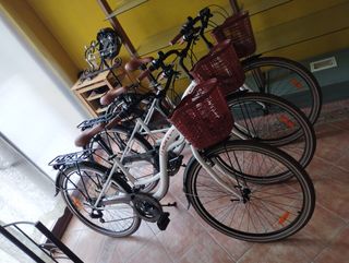Bicicletas clásicas 28" - NUEVAS
